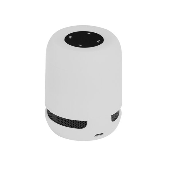 Speaker Wireless Plug-In